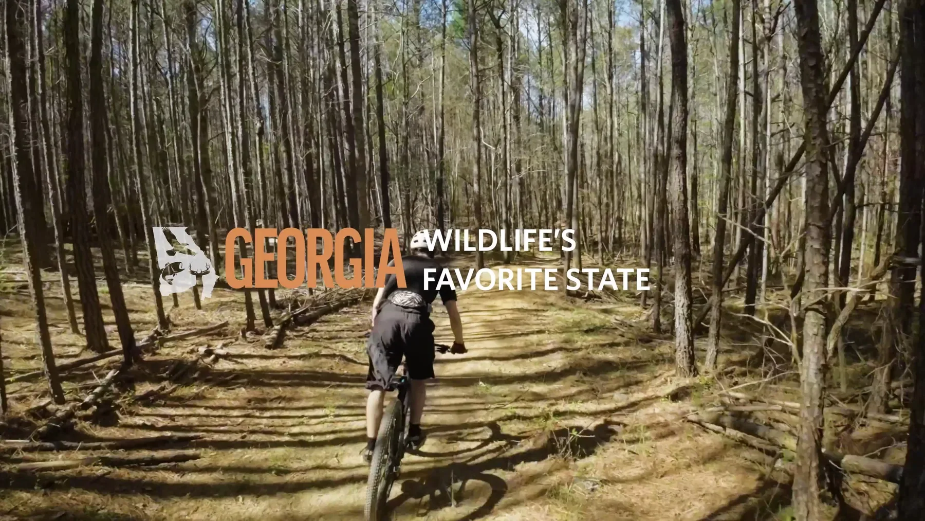 Explore Georgia Thumbnail